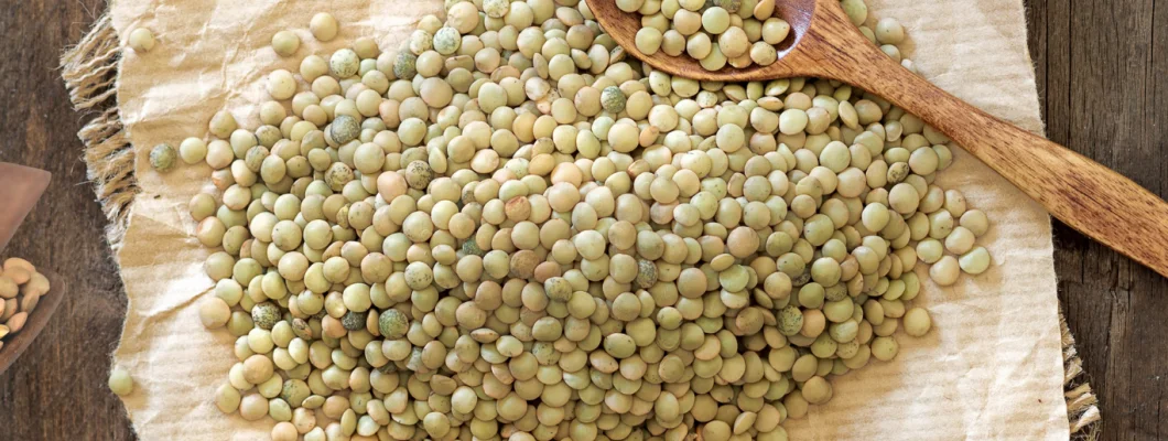 Yeşil Mercimek Faydaları Kalori, Protein ve Besin Değeri