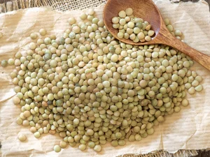 Yeşil Mercimek Faydaları Kalori, Protein ve Besin Değeri