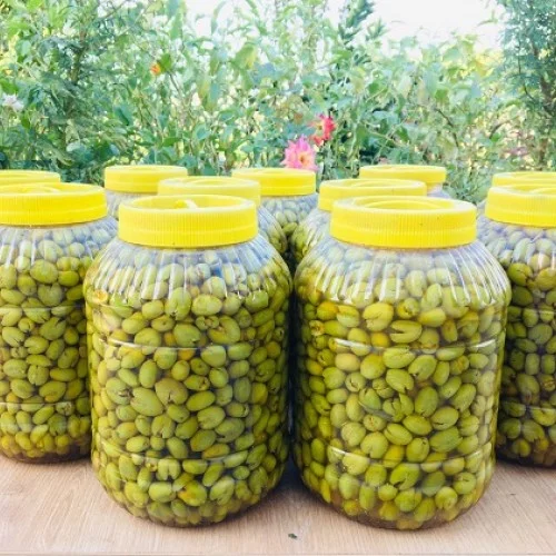 Taş Kırma Yeşil Zeytin 9 KG
