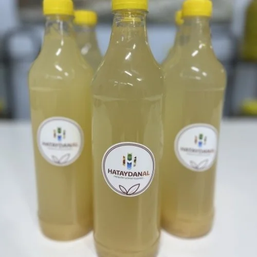 Elma Sirkesi Ev Yapımı