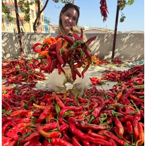 Kurutulmuş Acı Baş Biber 5 Adet