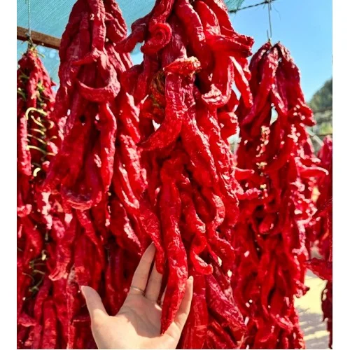 Kurutulmuş Acı Baş Biber 5 Adet