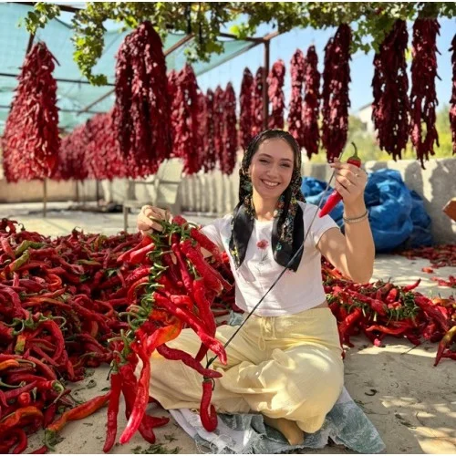 Kurutulmuş Acı Baş Biber 5 Adet