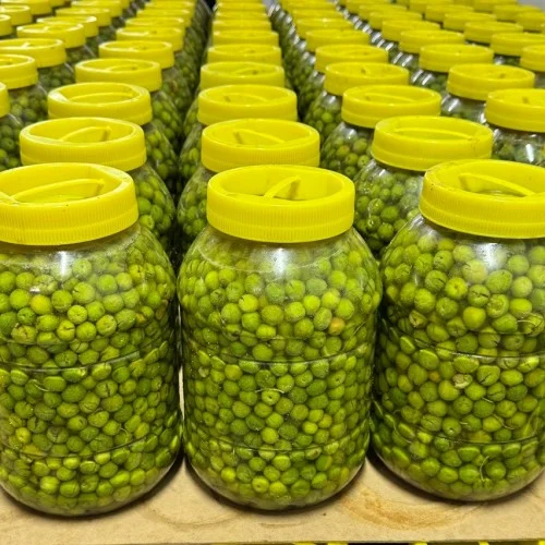 Antakya Halhalı Zeytin Net 1Kg