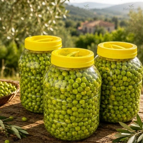 Halhalı Kırık Zeytin 5 kg