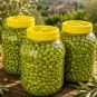 Hatay Halhalı Kırık Zeytin 3 kg