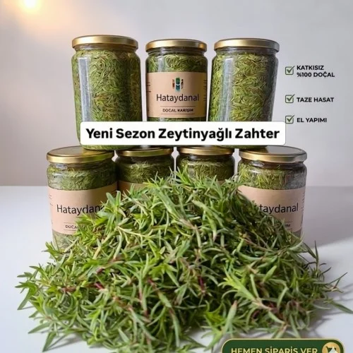 Salamura Zahter ( Taze Dağ Kekiği)