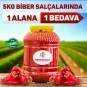 biber salcasi hatay