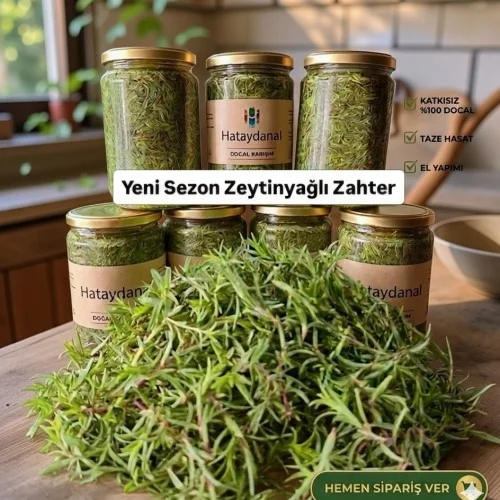 Salamura Zahter ( Taze Dağ Kekiği)