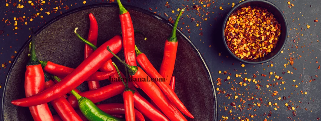 Ev Yapımı Pul Biber