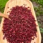 Tane Sumak Köy Sumağı Yeni Sezon 250 gr