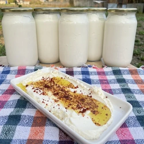 Tuzlu Yoğurt Keçi Sütlü 600 Gr